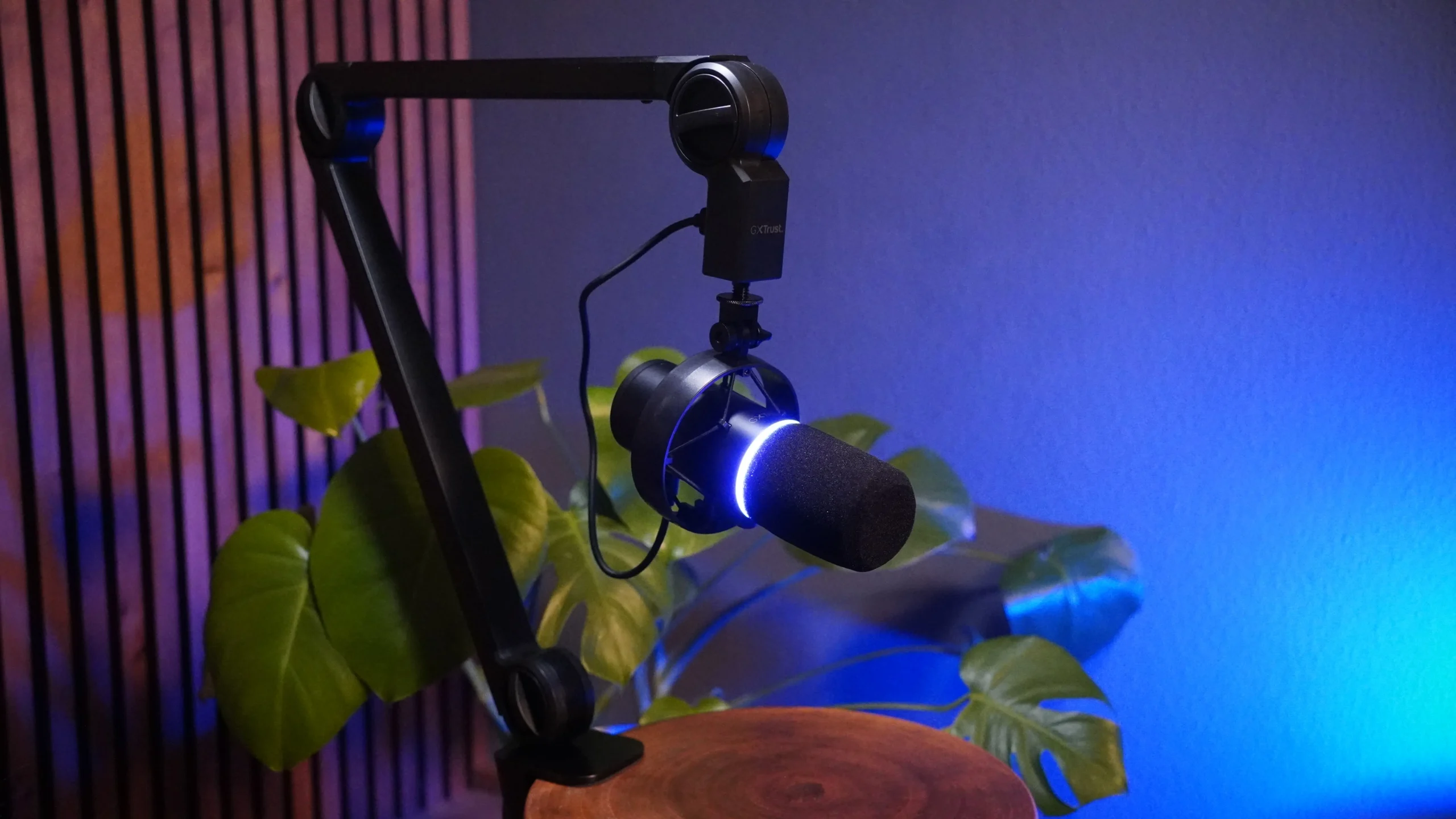 Trust Gaming Mikrofon GXT 255+ Test Onyx mit Mikrofonarm Review